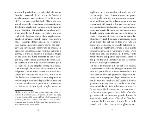 J. MUIR: LE MONTAGNE MI CHIAMANO. MEDITAZIONI SULLA NATURA SELVAGGIA