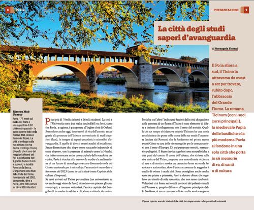 PAVIA. STORIE, PERSONE, CULTURA