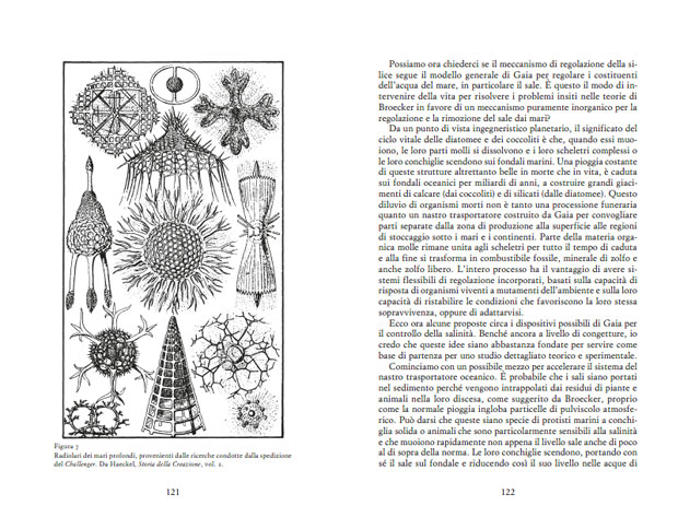 J. LAVELOCK: GAIA. NUOVE IDEE SULL'ECOLOGIA