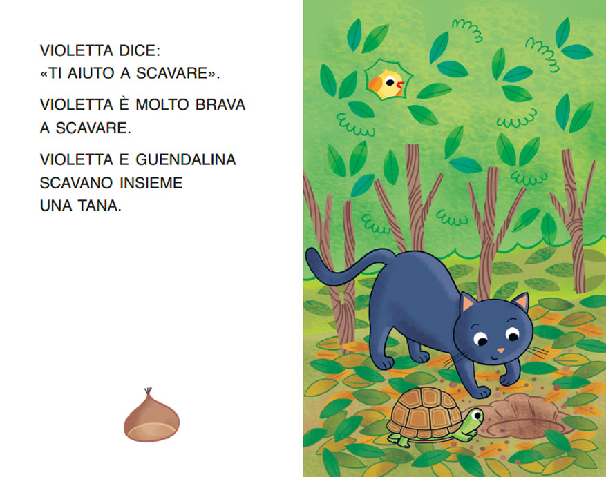 VIOLETTA E LA TARTARUGA