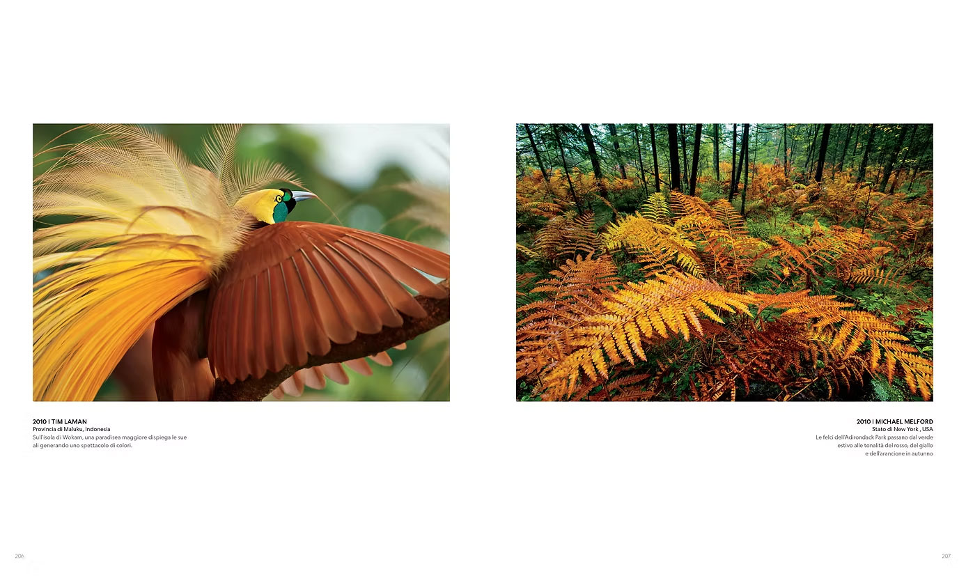 IL XXI SECOLO ATTRAVERSO LE FOTOGRAFIE DI NATIONAL GEOGRAPHIC