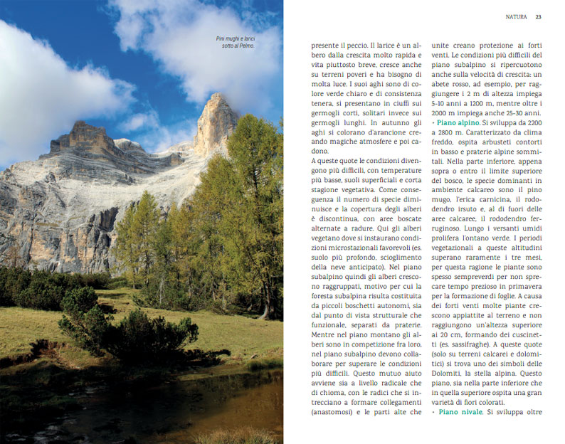 PELMO, CIVETTA E MOIAZZA