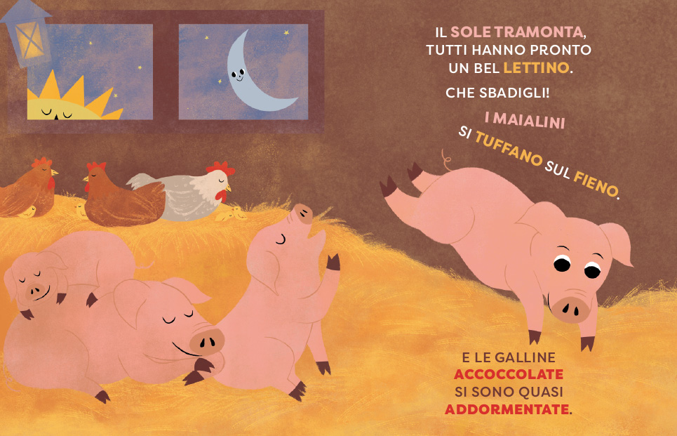 BUONANOTTE FATTORIA BUONANOTTE FATTORIA