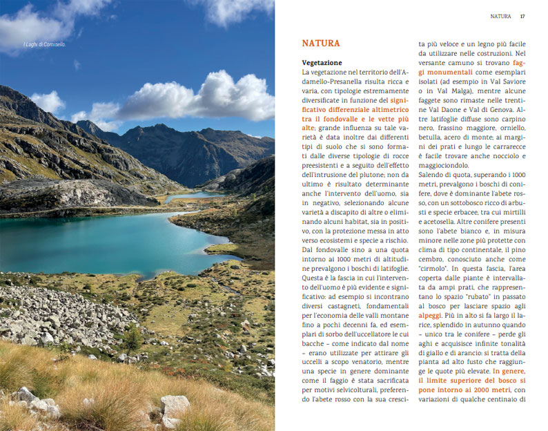 ADAMELLO - PRESANELLA ADAMELLO - PRESANELLA