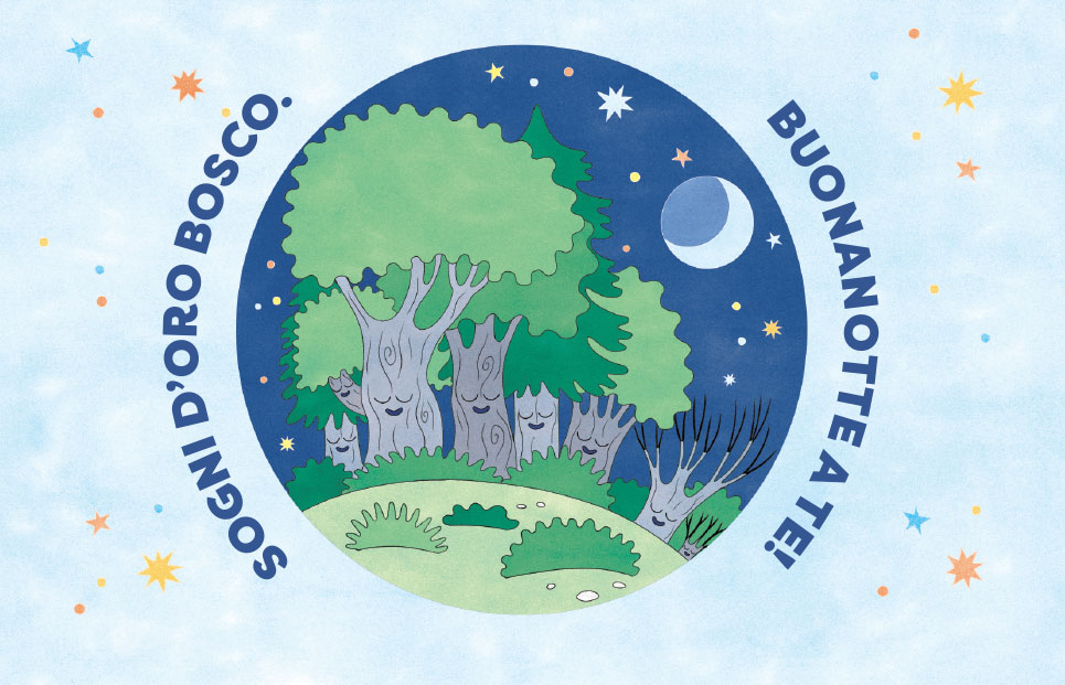 BUONANOTTE BOSCO BUONANOTTE BOSCO