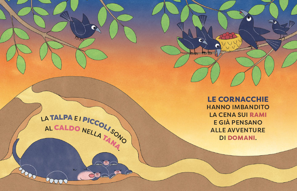 STORIE DELLA BUONANOTTE. Collana composta da 20 volumi