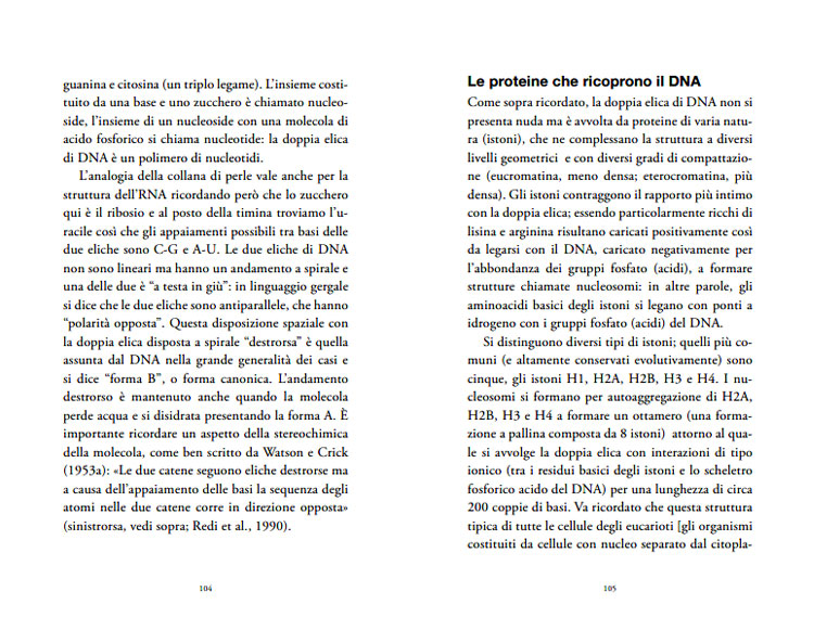 WATSON - CRICK: LA RIVOLUZIONARIA SCOPERTA DELLA DOPPIA ELICA DEL DNA