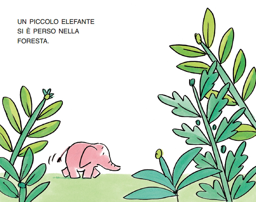 IL PICCOLO ELEFANTE