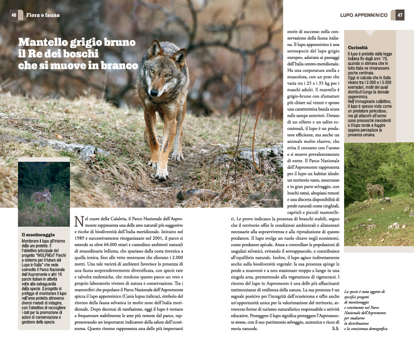 PARCO NAZIONALE DELL'ASPROMONTE. NATURA, TESORI E SAPORI