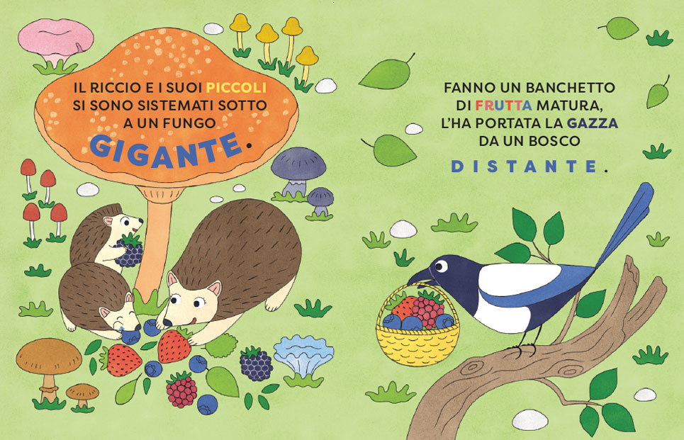 BUONANOTTE BOSCO BUONANOTTE BOSCO