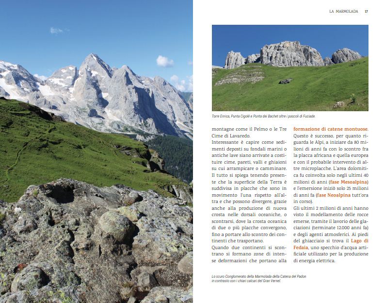 MARMOLADA MARMOLADA