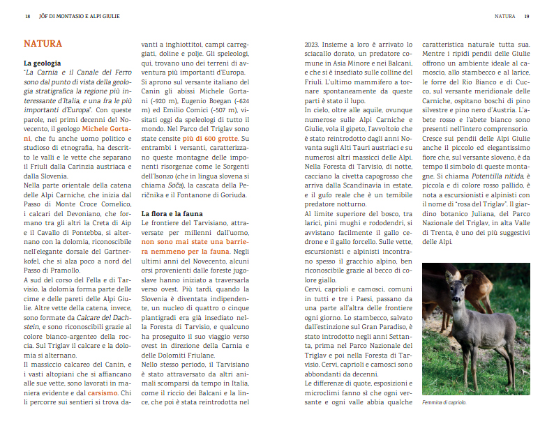 MONTASIO (ALPI GIULIE)