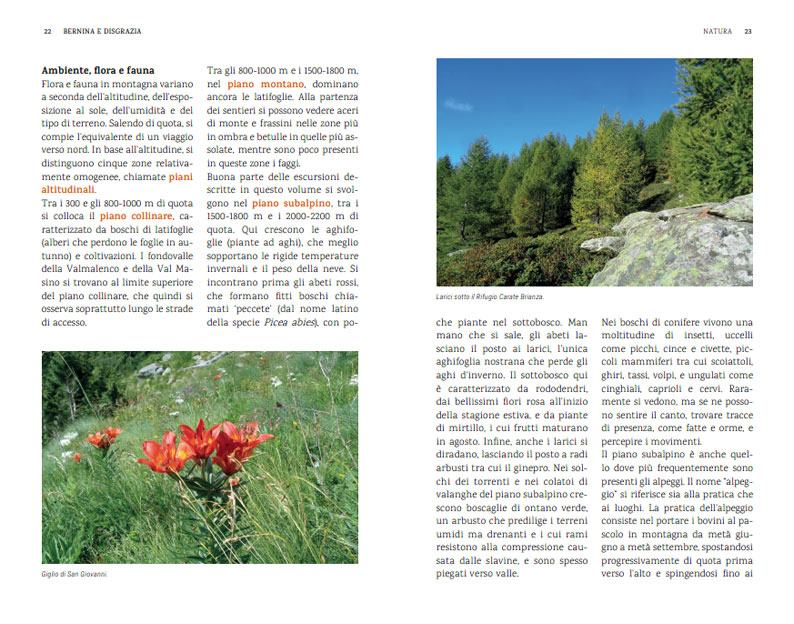 BERNINA E DISGRAZIA